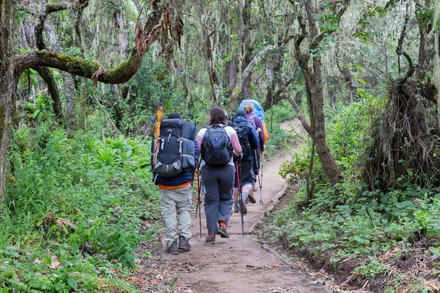 Machame Route