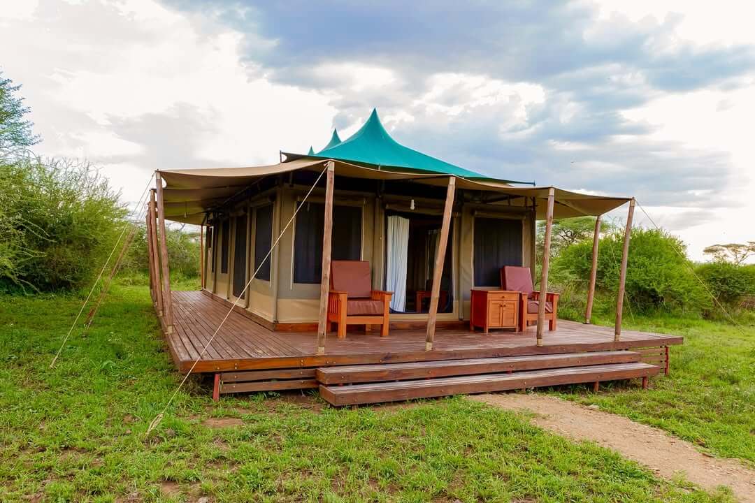 Luxury Lodge Safari