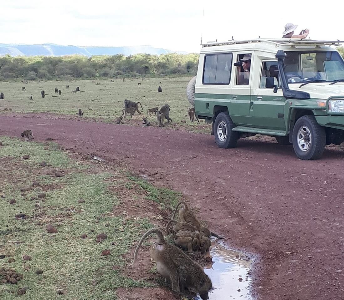 Tanzania Wildlife