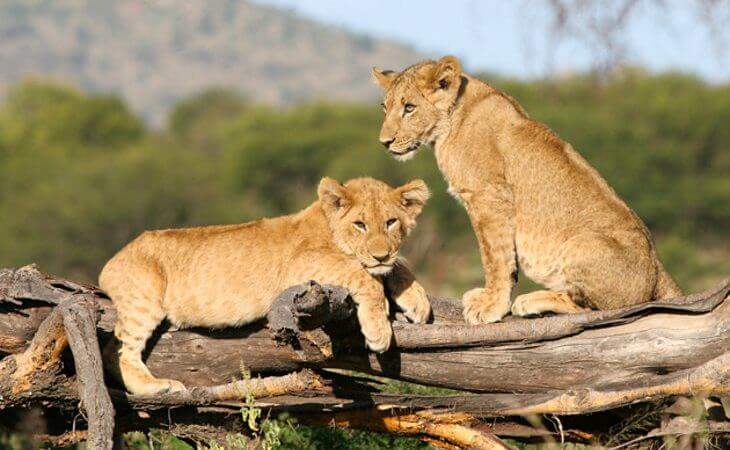 Lake Manyara