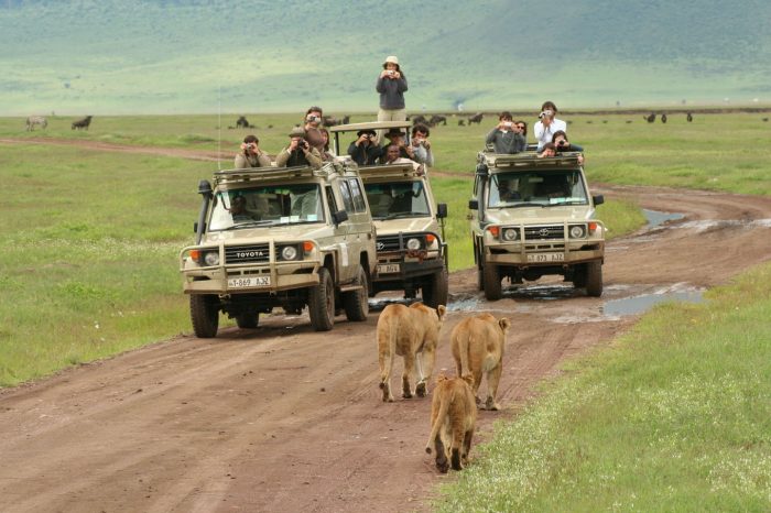 5-8 Days Safari